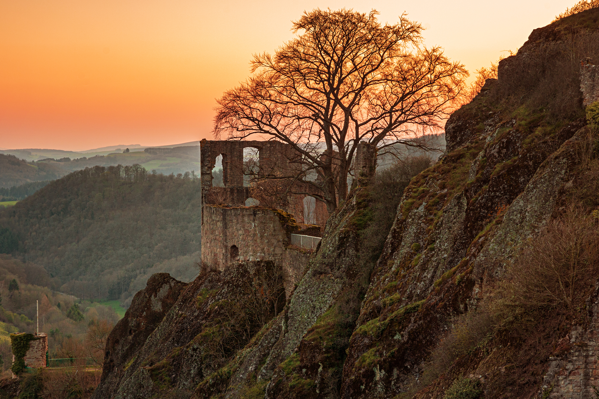 Natur pur in der Westpfalz