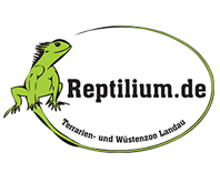 Harald Kröher Forografie Pirmasens Reptilium Landau